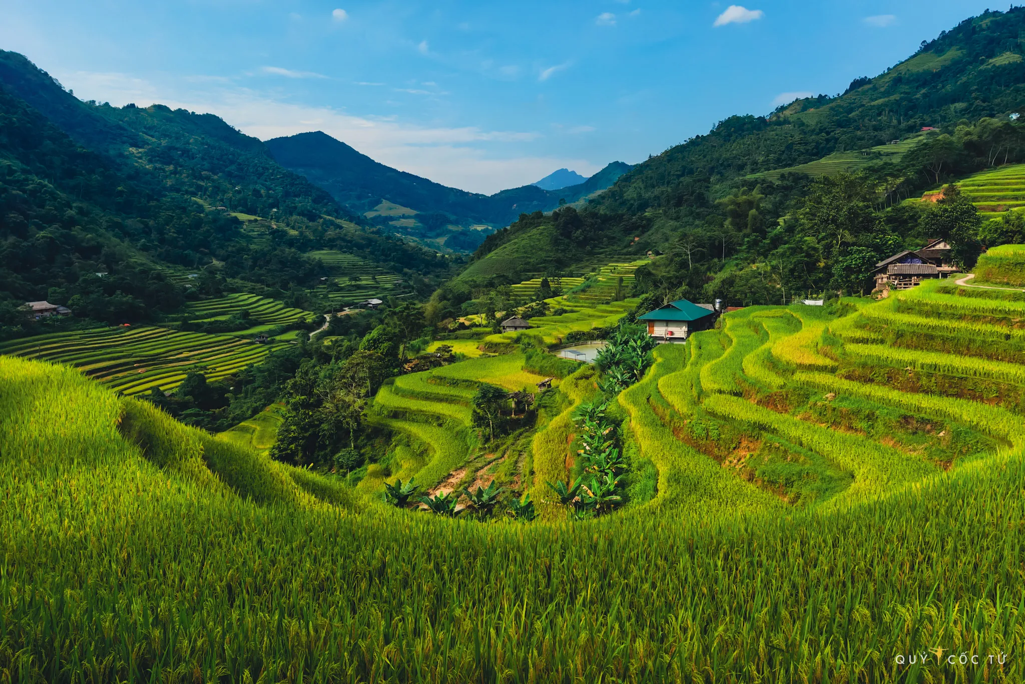 Hoang Su Phi: Home to the most gorgeous rice terraces in Vietnam 1 hoang su phi rice terraces ha giang