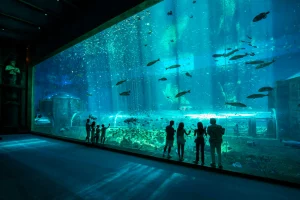 top trending photo spots in Phu Quoc