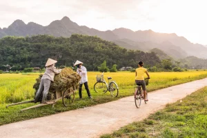 Harvest season in Mai Chau: Top places to visit in Vietnam