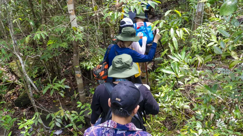 phu quoc national park trekking TSA