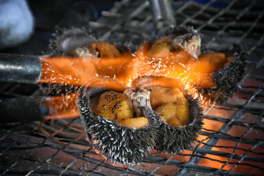 phu quoc grilled urchin