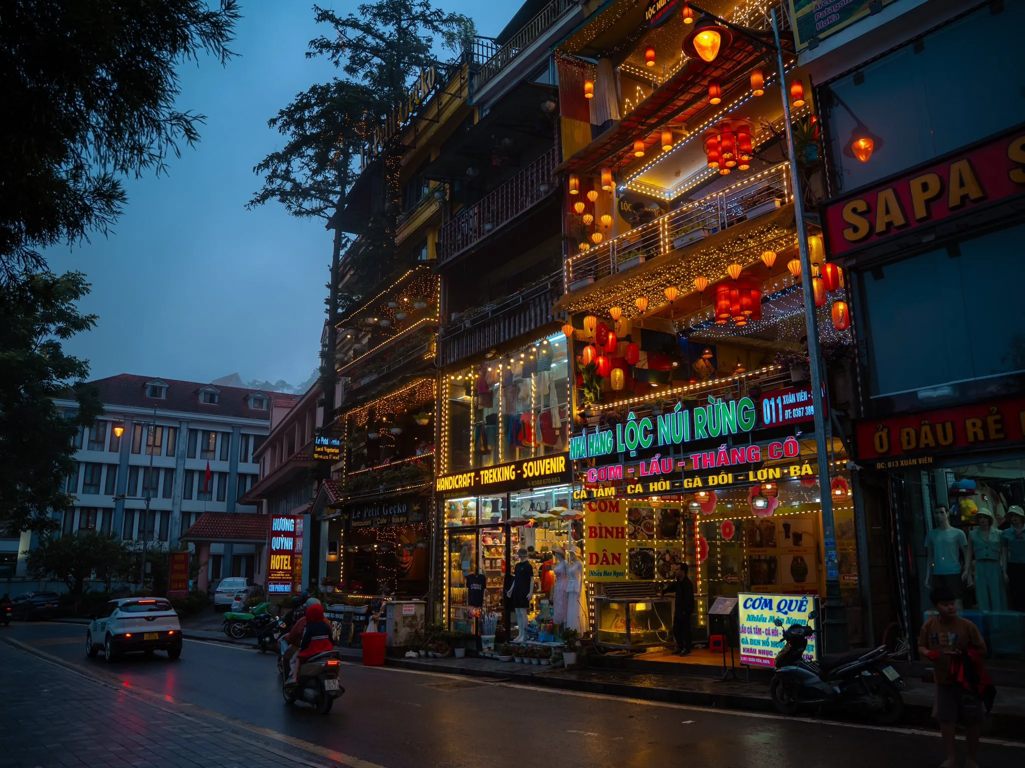 Sapa night street
