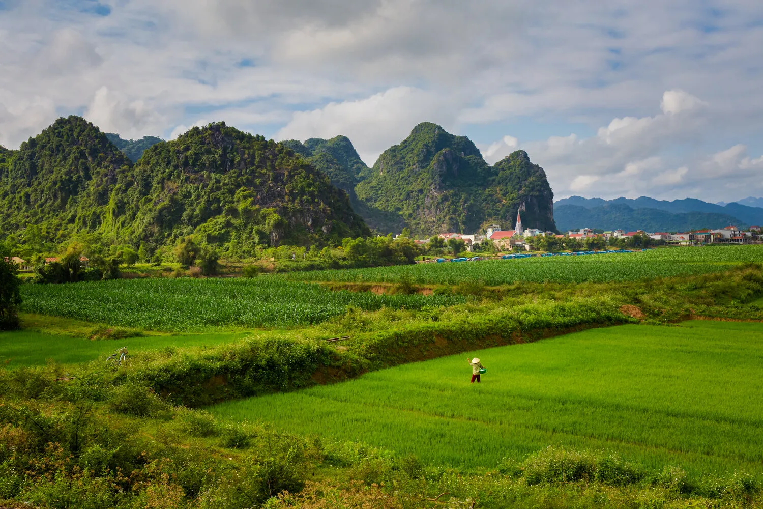 Phong Nha overview