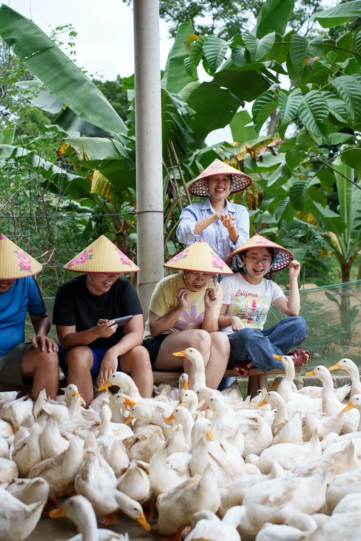 duck farm phong nha