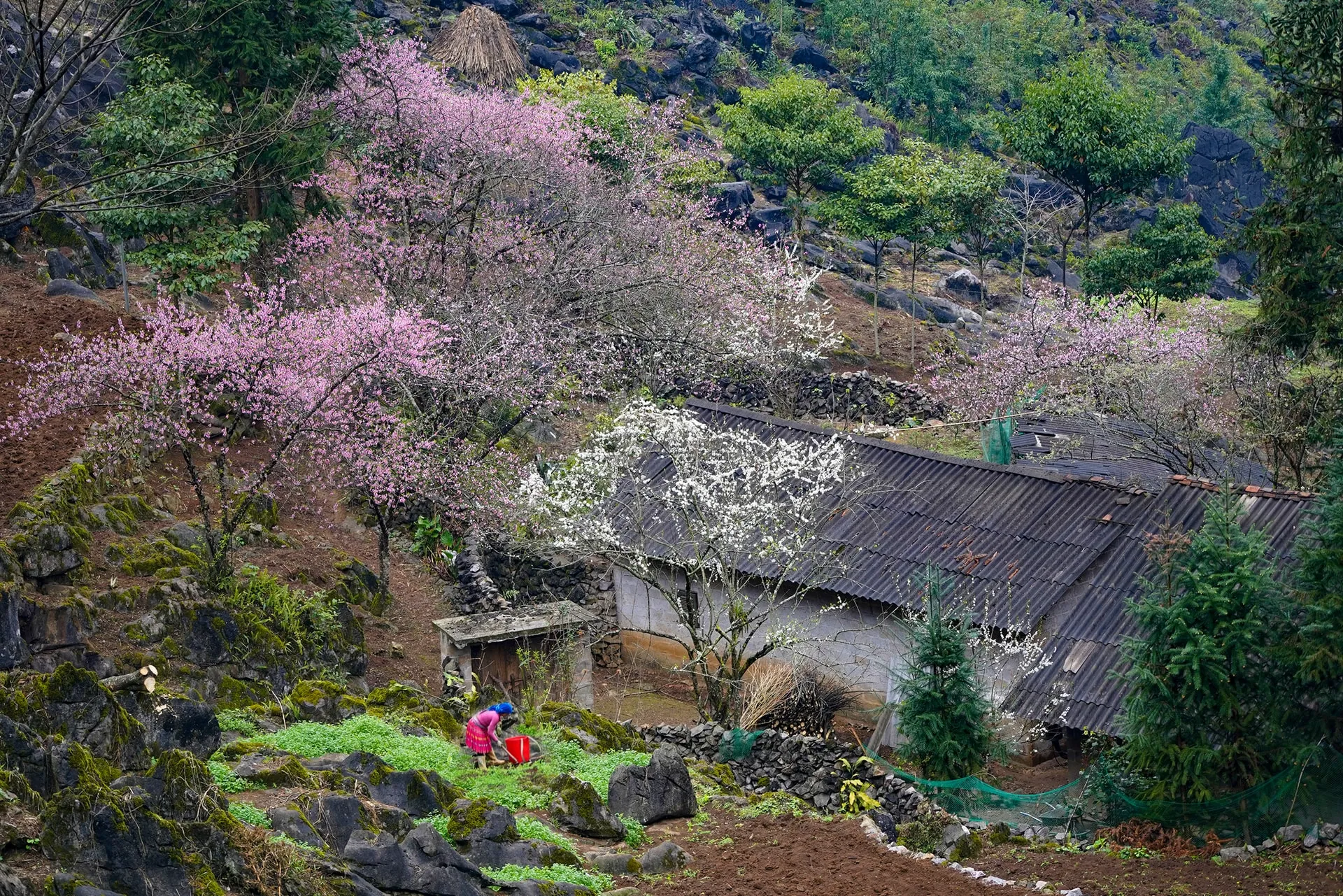 hanoimoi.com .vn uploads album 20