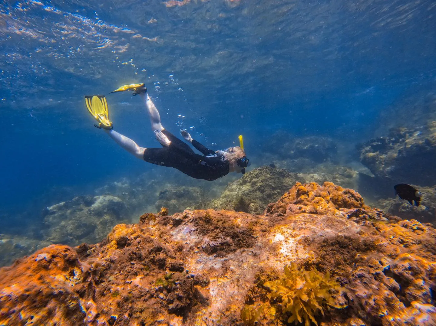 Why Nha Trang is hailed as the paradise for diving in Vietnam 1 diving nha trang vietnam