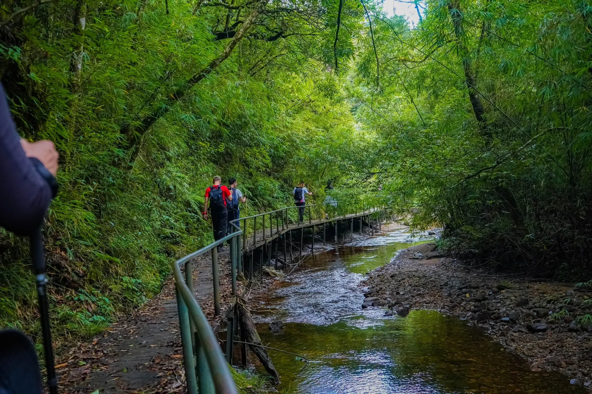 The ultimate guide to trekking Fansipan Mountain in Sapa (2026) 1 travel guide trekking fansipan mountain