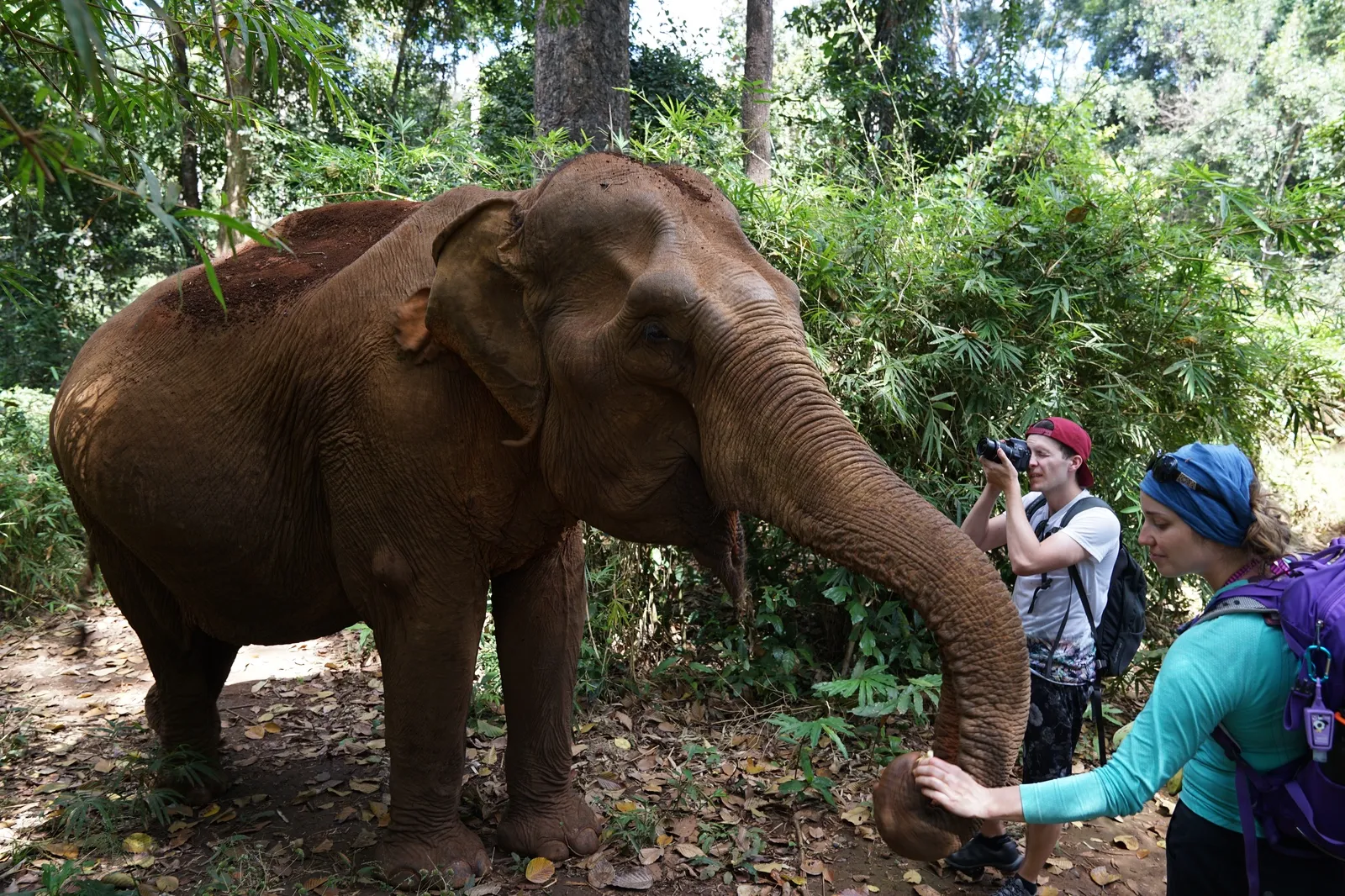 La Magia della Cambogia