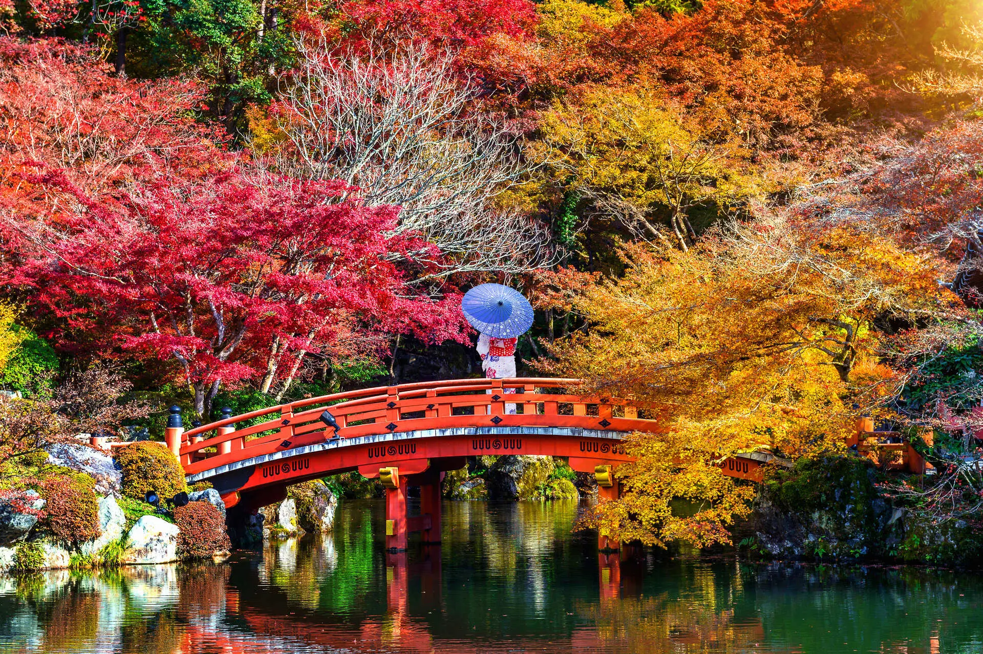 Pre-holiday: Why November to early December is the sweet spot to visit Asia? 1 autumn foliage japan asia november and early december